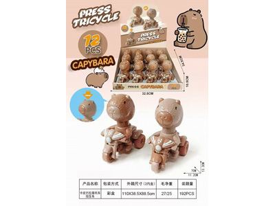 <img src='photo/A/JA133457.jpg'width='400' height='300'>