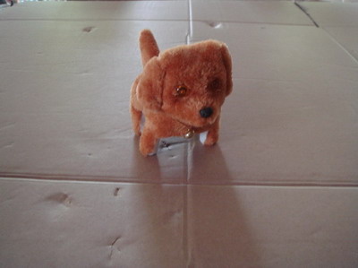 <img src='photo/B/JB071388.jpg'width='400' height='300'>