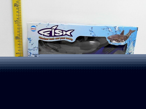 <img src='photo/B/JB075734.jpg'width='400' height='300'>