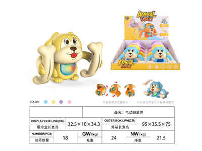 <img src='photo/B/JB080731.jpg'width='400' height='300'>