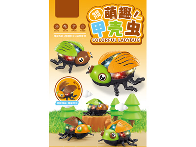 <img src='photo/B/JB080867.jpg'width='400' height='300'>