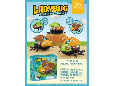 <img src='photo/B/JB080868.jpg'width='400' height='300'>