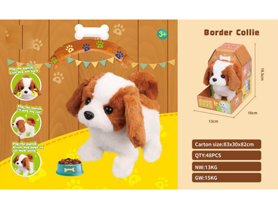 <img src='photo/B/JB080886.jpg'width='400' height='300'>