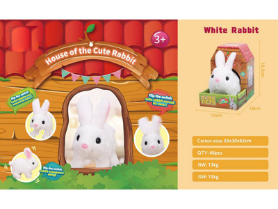 <img src='photo/B/JB080888.jpg'width='400' height='300'>