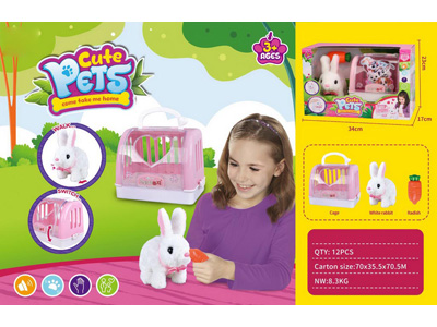 <img src='photo/B/JB080902.jpg'width='400' height='300'>