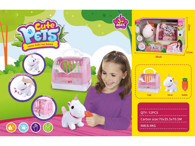 <img src='photo/B/JB080903.jpg'width='400' height='300'>