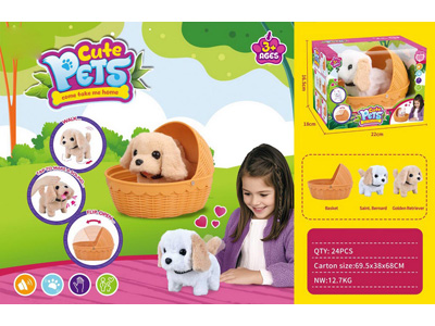 <img src='photo/B/JB080916.jpg'width='400' height='300'>