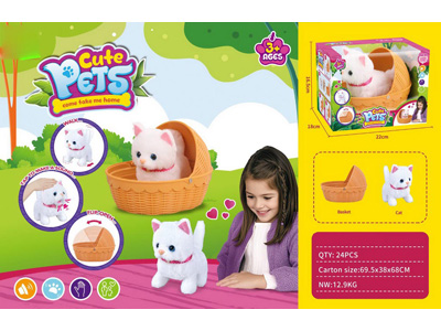 <img src='photo/B/JB080917.jpg'width='400' height='300'>