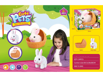 <img src='photo/B/JB080918.jpg'width='400' height='300'>