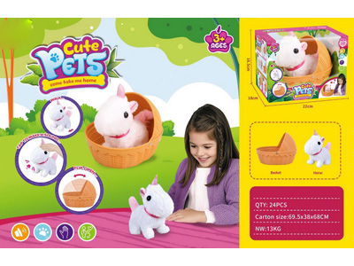 <img src='photo/B/JB080919.jpg'width='400' height='300'>