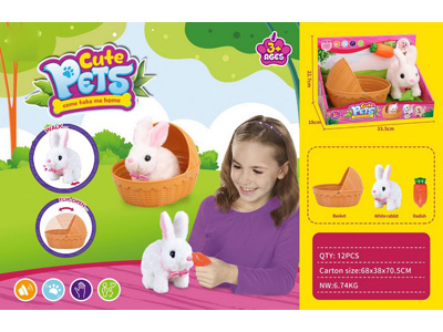 <img src='photo/B/JB080922.jpg'width='400' height='300'>