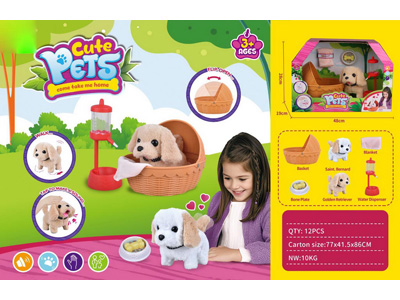 <img src='photo/B/JB080924.jpg'width='400' height='300'>