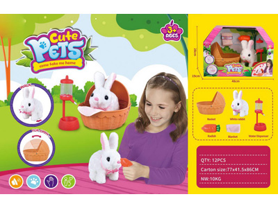 <img src='photo/B/JB080926.jpg'width='400' height='300'>