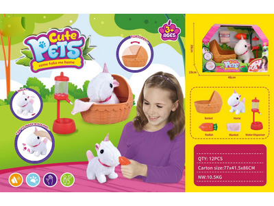 <img src='photo/B/JB080927.jpg'width='400' height='300'>