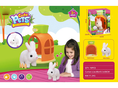 <img src='photo/B/JB080928.jpg'width='400' height='300'>