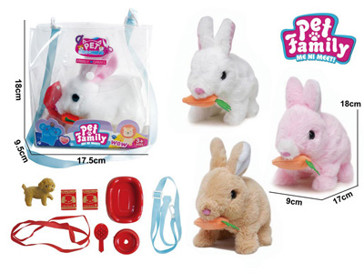 <img src='photo/B/JB081337.jpg'width='400' height='300'>