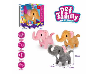 <img src='photo/B/JB081431.jpg'width='400' height='300'>