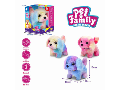 <img src='photo/B/JB081433.jpg'width='400' height='300'>