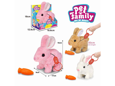 <img src='photo/B/JB081439.jpg'width='400' height='300'>