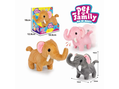 <img src='photo/B/JB081443.jpg'width='400' height='300'>