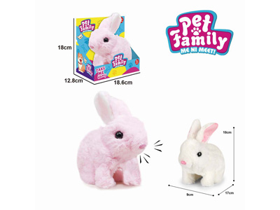 <img src='photo/B/JB081447.jpg'width='400' height='300'>