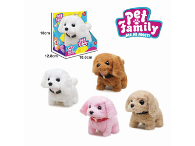 <img src='photo/B/JB081450.jpg'width='400' height='300'>