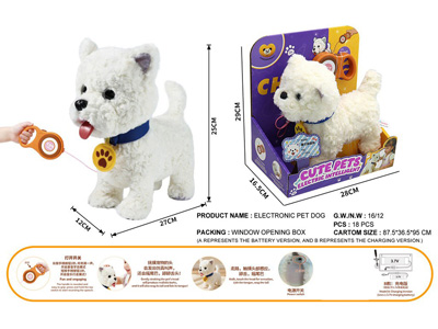 <img src='photo/B/JB082348.jpg'width='400' height='300'>