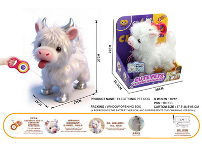 <img src='photo/B/JB082356.jpg'width='400' height='300'>