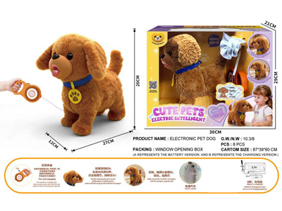 <img src='photo/B/JB082359.jpg'width='400' height='300'>