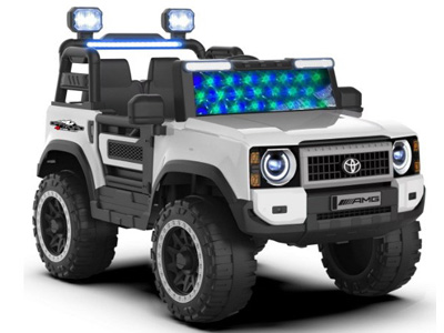 <img src='photo/B/JB082408.jpg'width='400' height='300'>