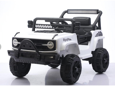 <img src='photo/B/JB082436.jpg'width='400' height='300'>