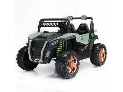 <img src='photo/B/JB082500.jpg'width='400' height='300'>