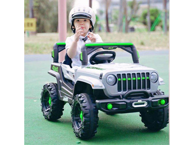 <img src='photo/B/JB082510.jpg'width='400' height='300'>