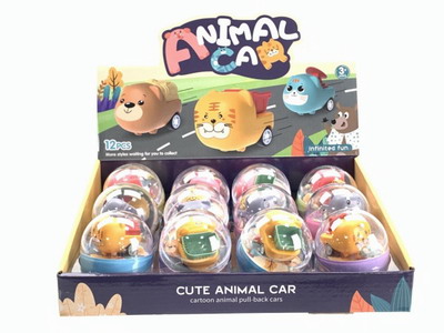 <img src='photo/C/JC113539.jpg'width='400' height='300'>