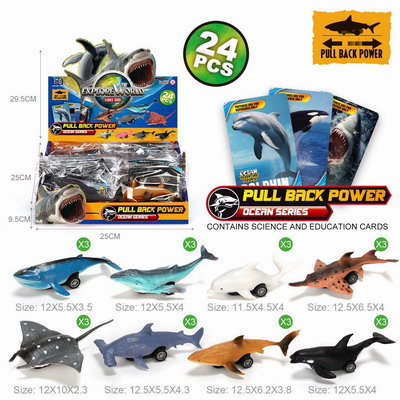 <img src='photo/C/JC126405.jpg'width='400' height='300'>