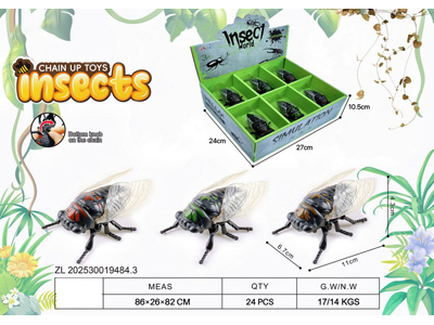 <img src='photo/D/JD011293.jpg'width='400' height='300'>