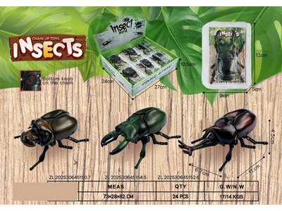 <img src='photo/D/JD011320.jpg'width='400' height='300'>