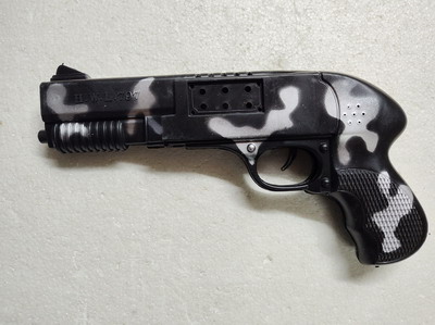 <img src='photo/G/JG067441.jpg'width='400' height='300'>