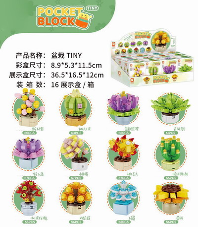 <img src='photo/K/JK190898.jpg'width='400' height='300'>