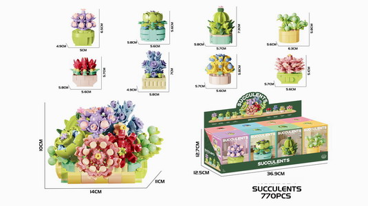 <img src='photo/K/JK190961.jpg'width='400' height='300'>