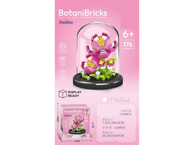 <img src='photo/K/JK193596.jpg'width='400' height='300'>