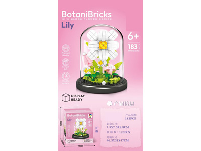 <img src='photo/K/JK193602.jpg'width='400' height='300'>