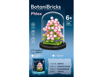 <img src='photo/K/JK193610.jpg'width='400' height='300'>