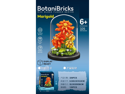 <img src='photo/K/JK193615.jpg'width='400' height='300'>