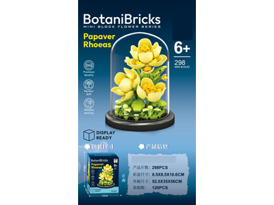 <img src='photo/K/JK193617.jpg'width='400' height='300'>