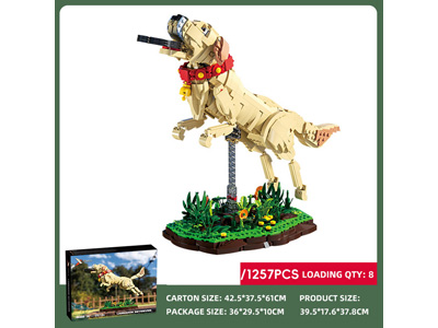 <img src='photo/K/JK196606.jpg'width='400' height='300'>