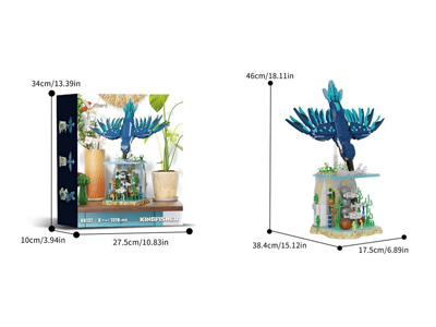 <img src='photo/K/JK196627.jpg'width='400' height='300'>