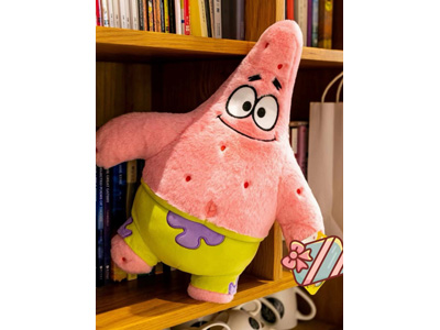 <img src='photo/O/JO221174.jpg'width='400' height='300'>