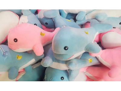 <img src='photo/O/JO221198.jpg'width='400' height='300'>