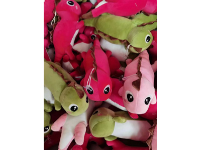 <img src='photo/O/JO221287.jpg'width='400' height='300'>